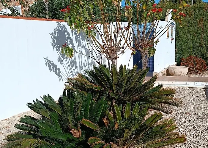 Вилла La Pergola *